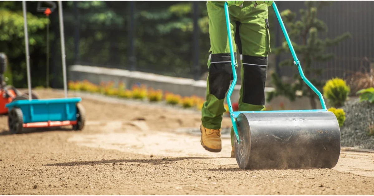 Landscaper using a heavy roller to level soil during lawn preparation for new grass installation.